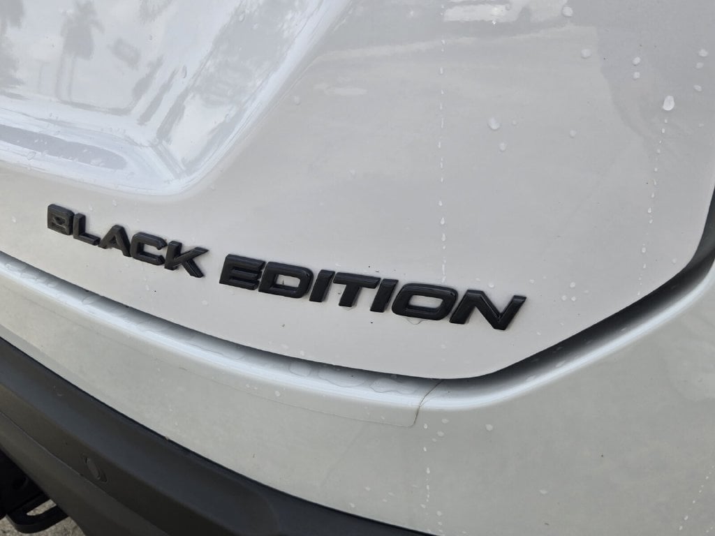 2025 Honda Pilot Black Edition - Photo 16