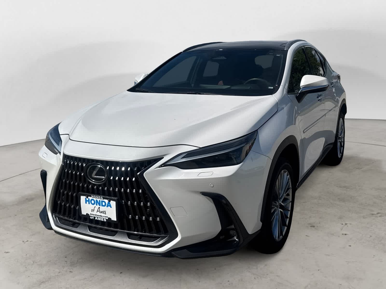 2024 Lexus NX