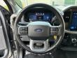 2025 Ford F-150 XLT Pickup