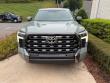 2025 Toyota Tundra Platinum Hybrid Pickup