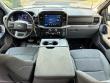 2025 Ford F-150 XLT Pickup