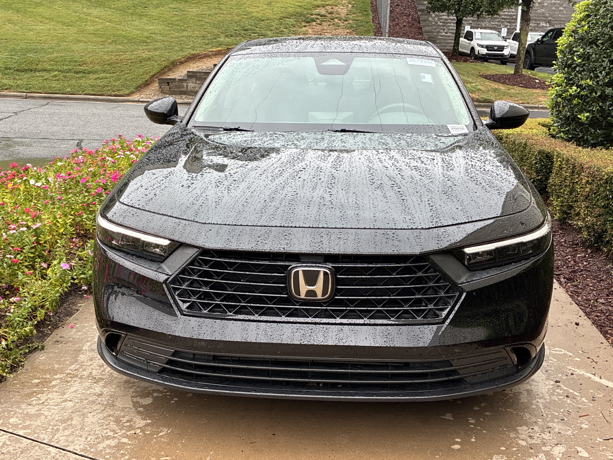 Used Honda Accord for sale in Concord - Charlotte | Honda of Concord