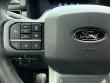 2025 Ford F-150 LARIAT Pickup