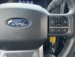2025 Ford F-150 XLT Pickup