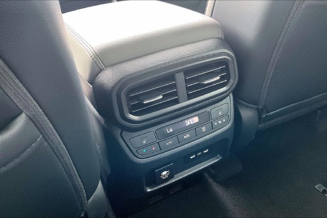 2025 Honda Pilot Elite - Photo 10