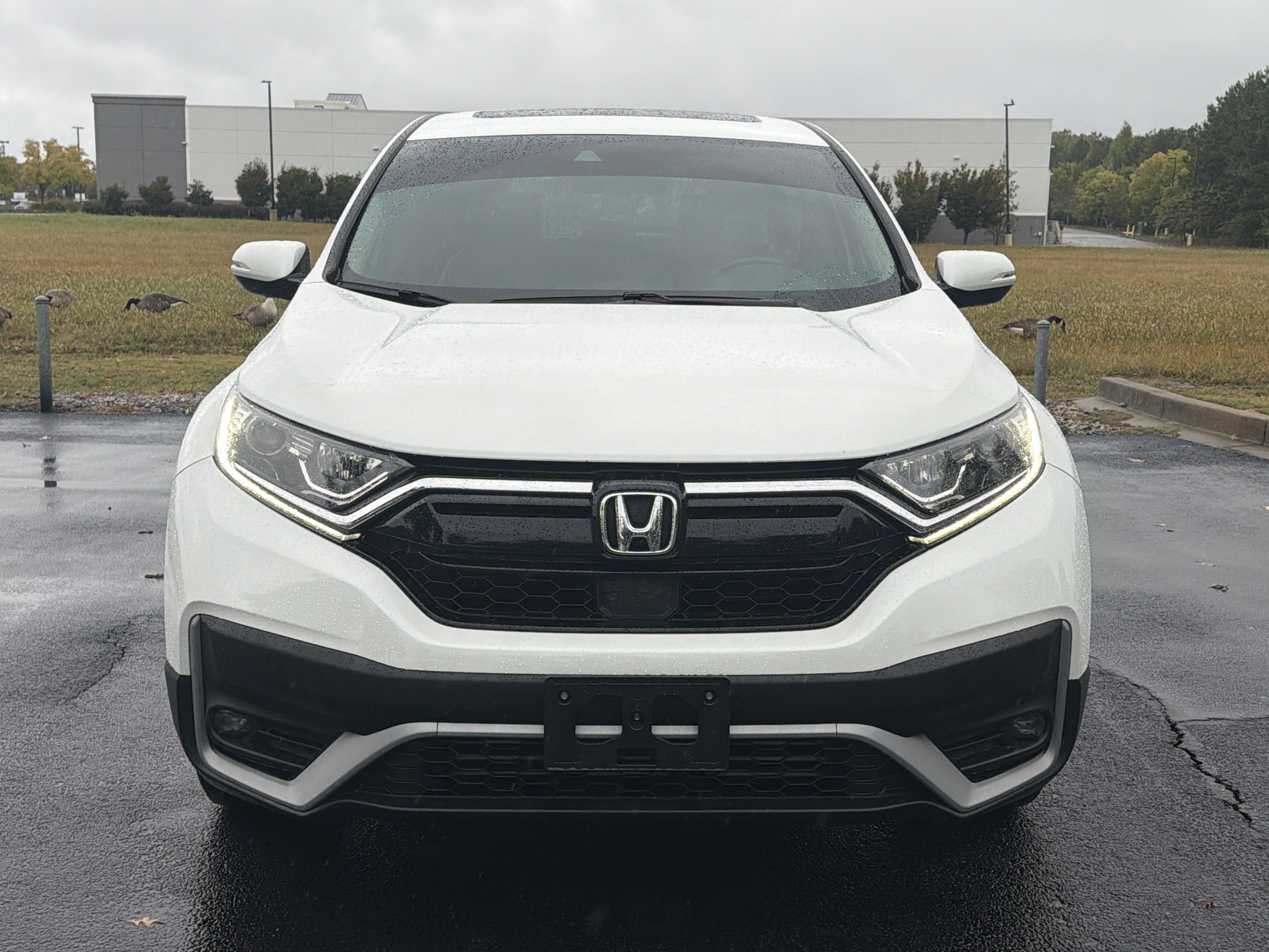 Certified 2022 Honda CR-V EX-L SUV