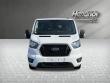 2024 Ford Transit Passenger Wagon XLT Van