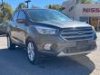 2019 Ford Escape SE SUV