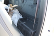 2027 Ram 5500 Chassis Tradesman Regular Cab 4x2 Chassis Truck Regular Cab