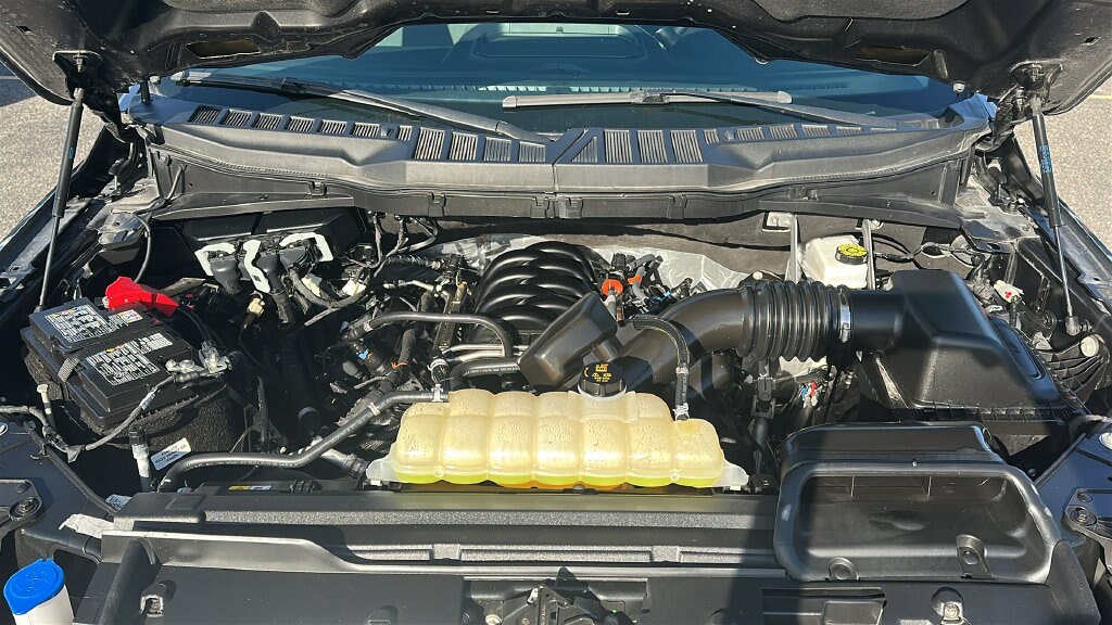 Used 2025 Ford F-150 XLT Truck