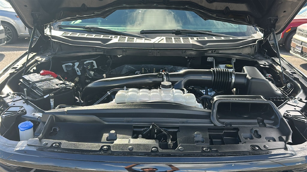 Used 2025 Ford F-150 XLT Truck