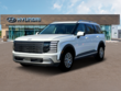  Hyundai Palisade Hybrid