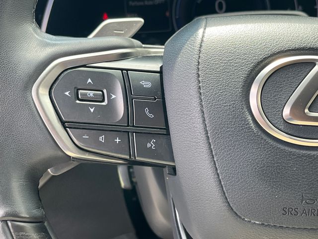 2023 Lexus RX Hybrid 350h - Photo 16