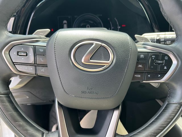 2023 Lexus RX Hybrid 350h - Photo 15