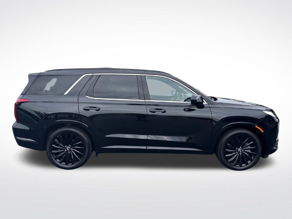 2024 Hyundai Palisade Calligraphy Night Edition - Photo 6