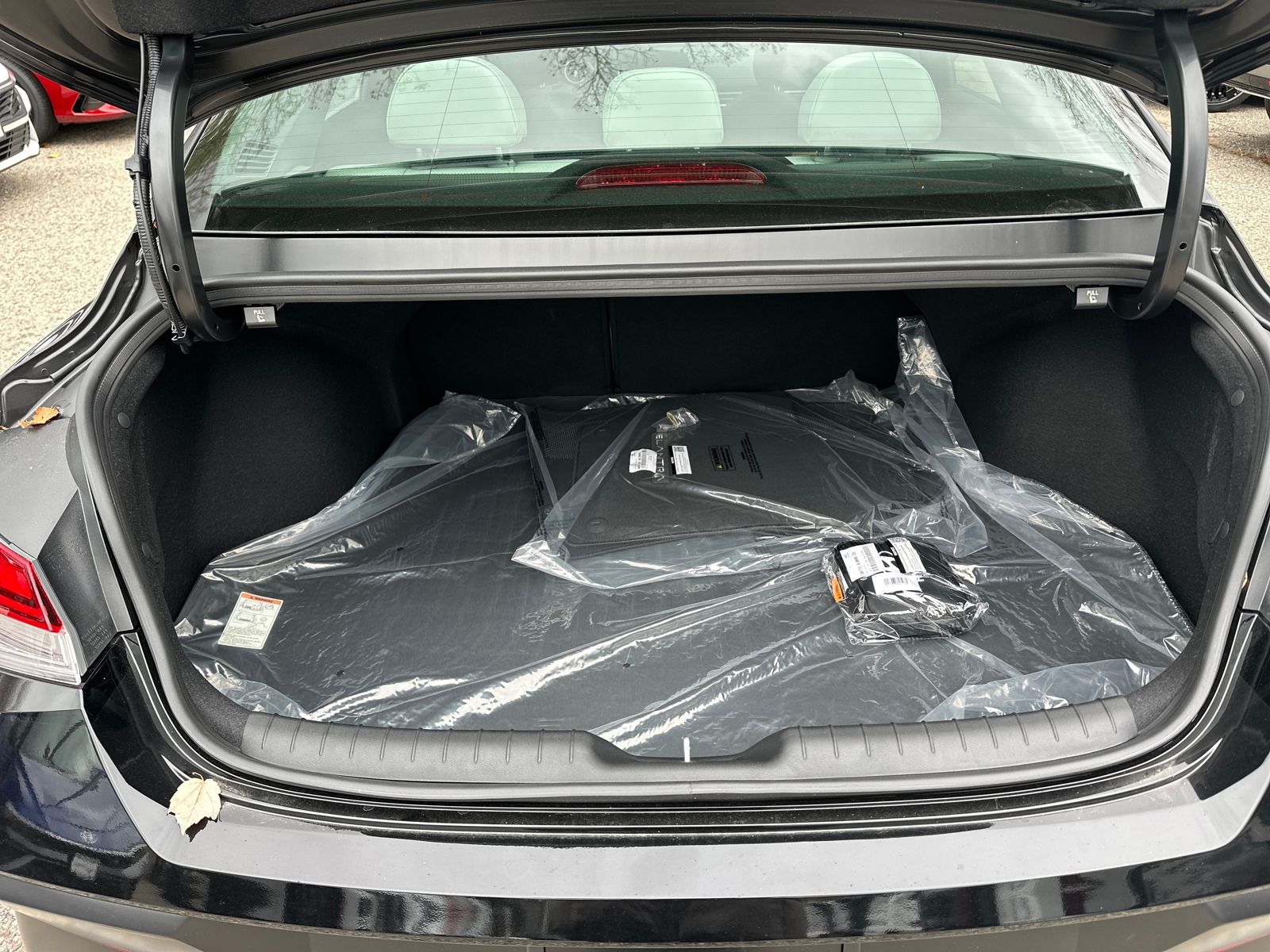 2025 Hyundai Elantra Limited - Photo 22