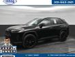 Used 2024 Toyota RAV4 Limited AWD (Natl)