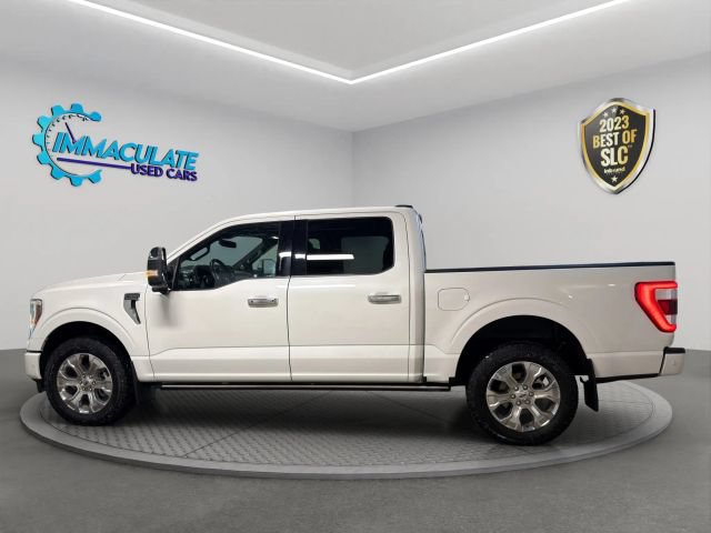 2023 Ford F-150 Platinum - Photo 2