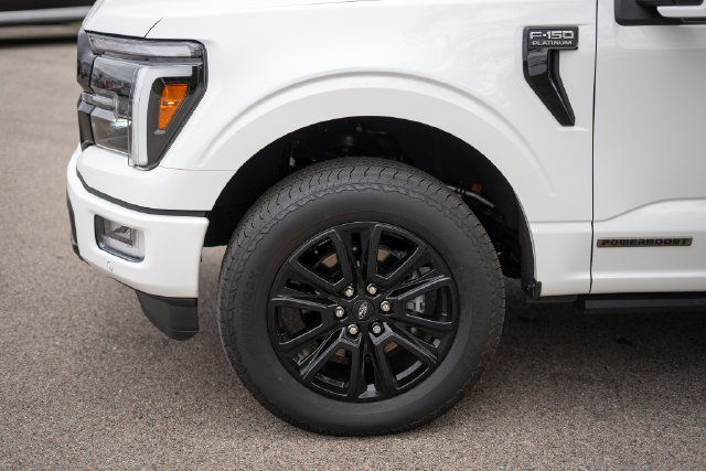 2025 Ford F-150 Platinum - Photo 10