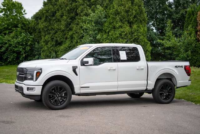 2025 Ford F-150 Platinum - Photo 9