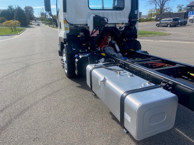 New 2025 Isuzu FTR Cab and Chassis