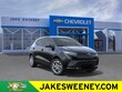 Chevrolet Bolt