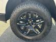 2025 Chevrolet Silverado 1500 LT Trail Boss Pickup