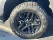 2020 Chevrolet Silverado 1500 LT Trail Boss Truck Crew Cab