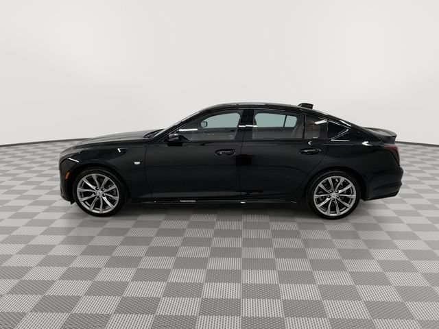 2026 Cadillac CT5 Sport - Photo 6
