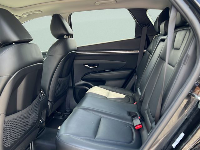 2024 Hyundai Tucson Limited - Photo 10