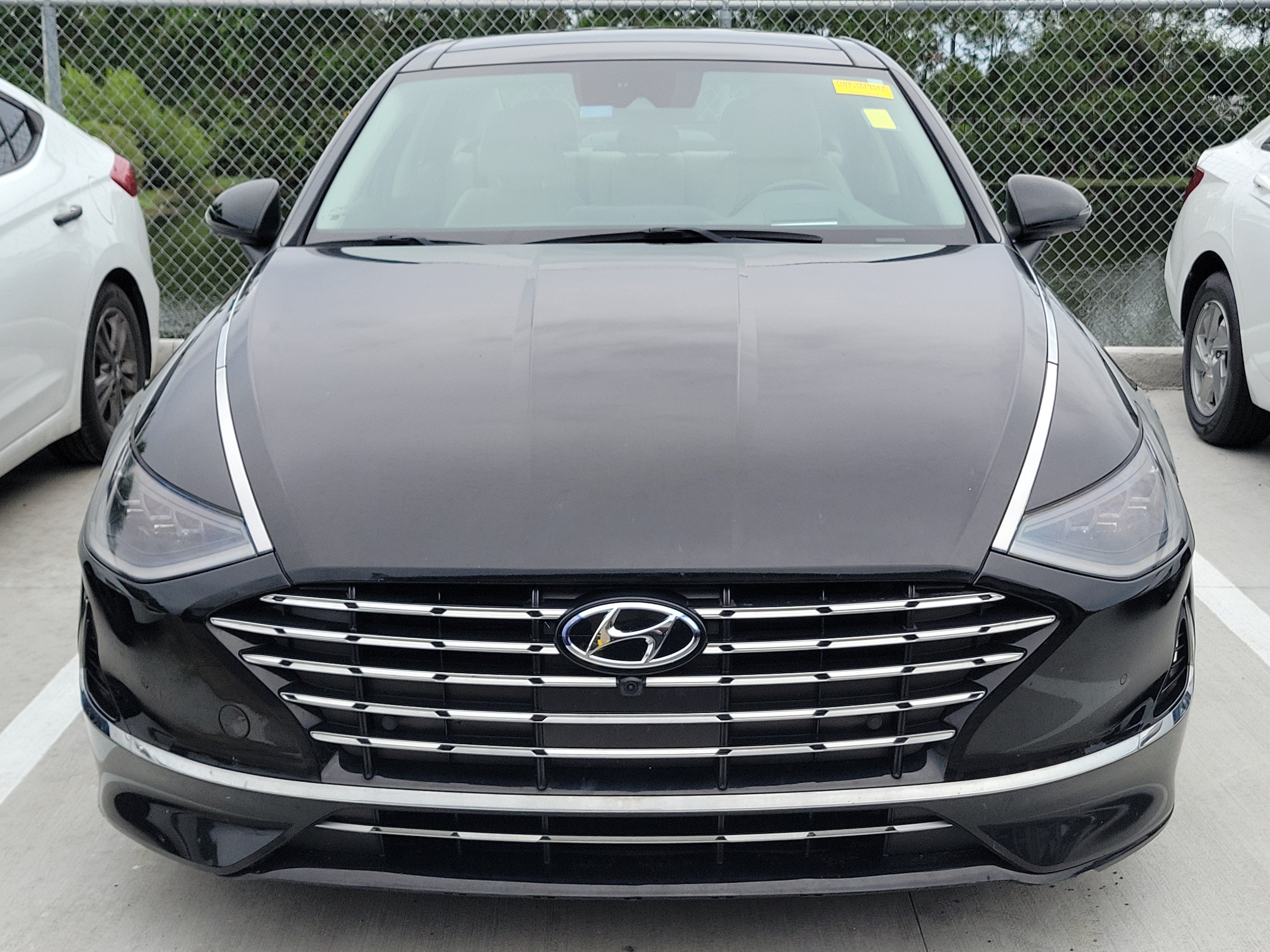 Used 2023 Hyundai Sonata Hybrid Limited Sedan