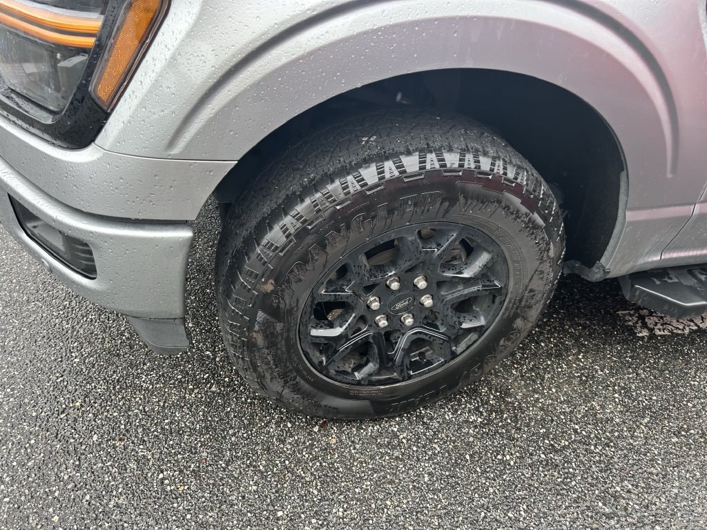 2024 Ford F-150 XLT - Photo 10