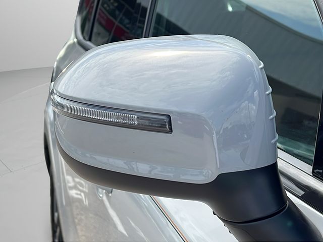 2025 Kia Telluride EX X-Line - Photo 38
