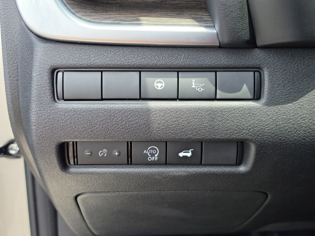 2025 Nissan Rogue Platinum - Photo 43