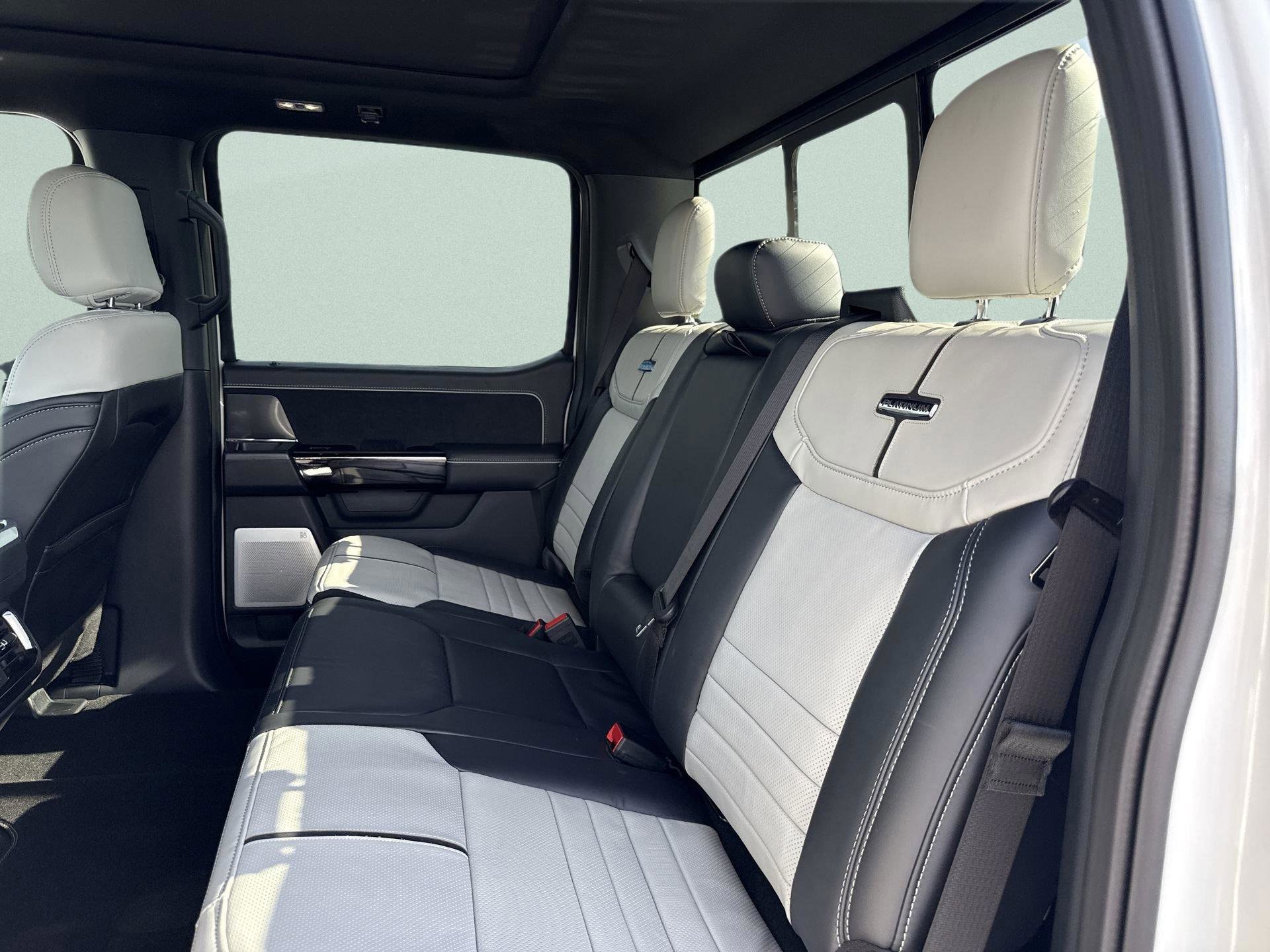 2025 Ford F-150 Lightning Platinum - Photo 30