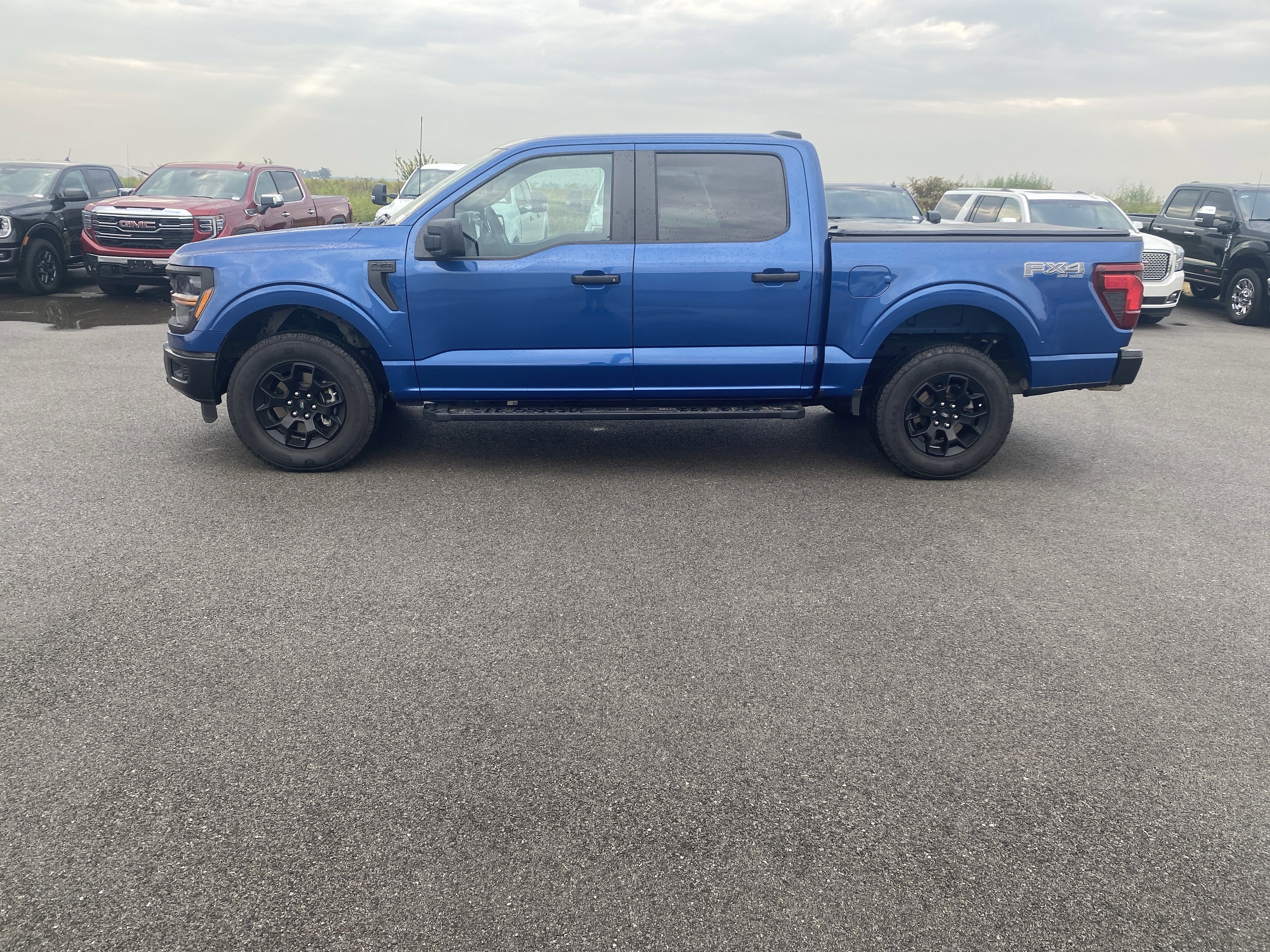 Used 2024 Ford F-150 STX STX 4WD SuperCrew 5.5 Box
