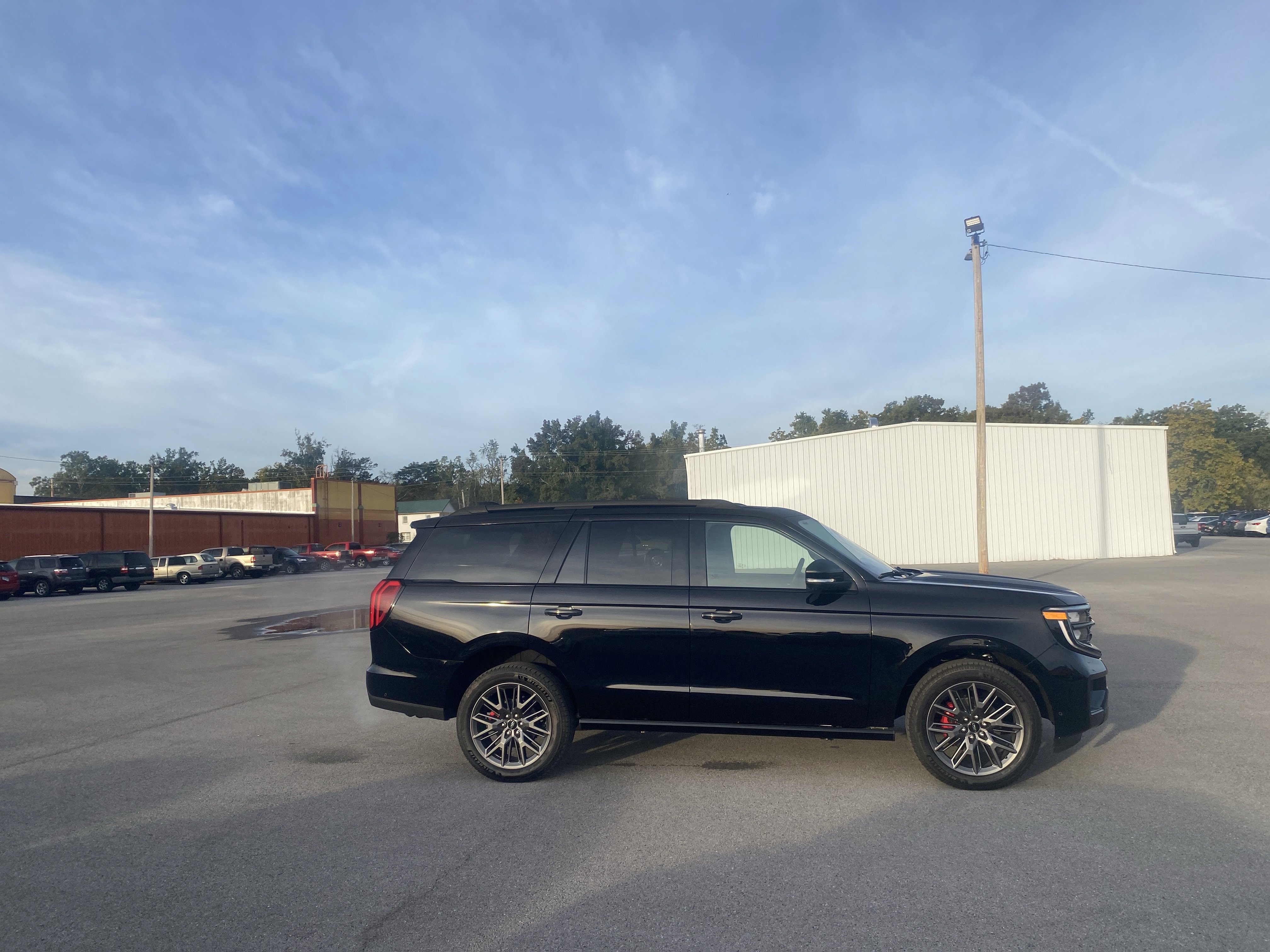 2025 Ford Expedition Platinum - Photo 6