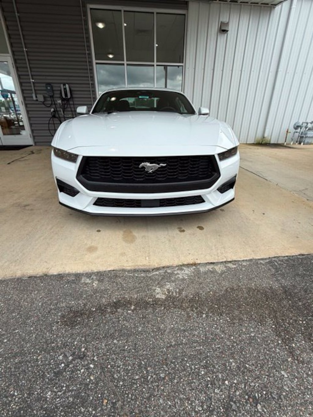 New 2026 Ford Mustang EcoBoost Coupe