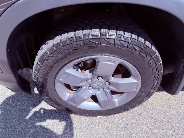 Photo 16