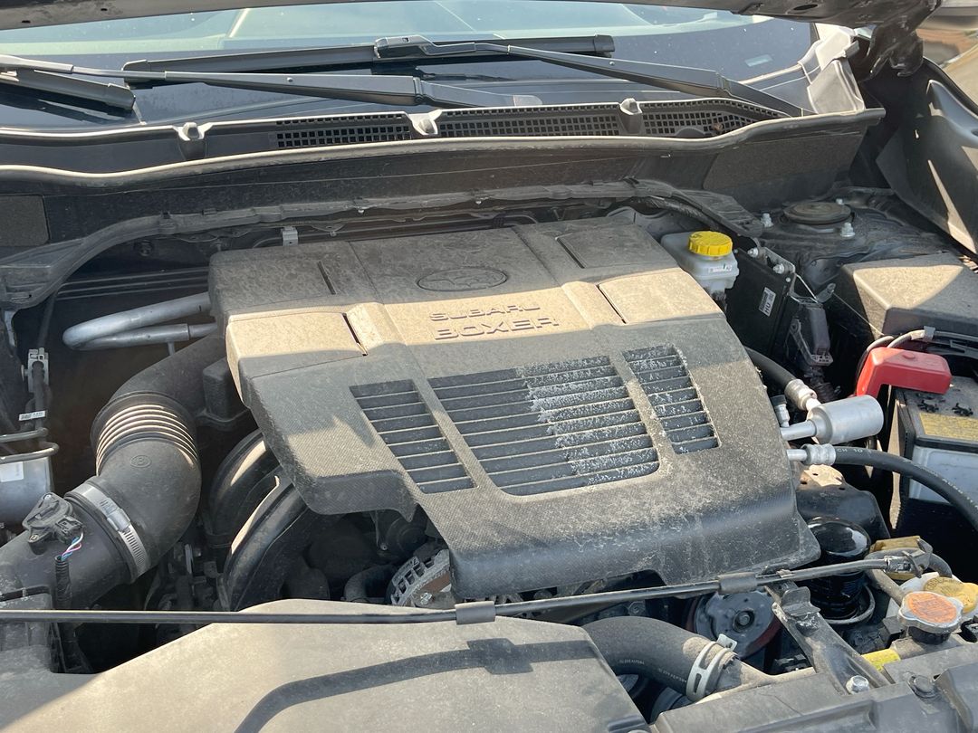 2024 Subaru Forester Wilderness - Photo 18
