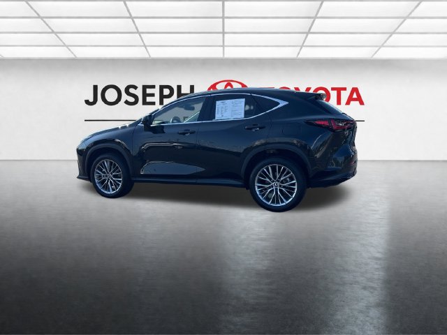 Used 2025 Lexus NX 350 350 Premium SUV