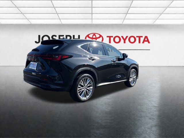 Used 2025 Lexus NX 350 350 Premium SUV