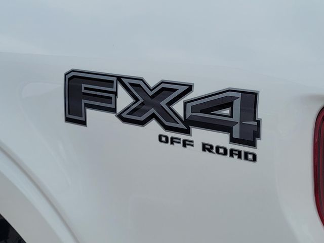 2026 Ford F-150 XLT - Photo 6