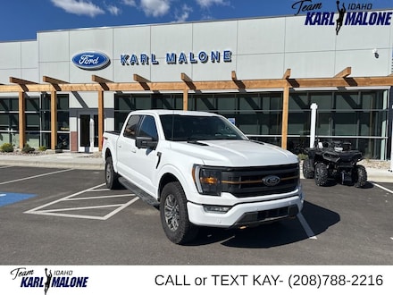 2023 Ford F-150 Tremor Truck