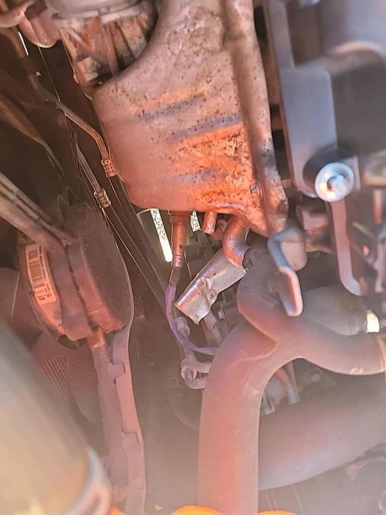 Photo 46