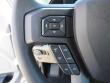 New 2019 Ford F-150 Truck SuperCrew Cab near Belmont