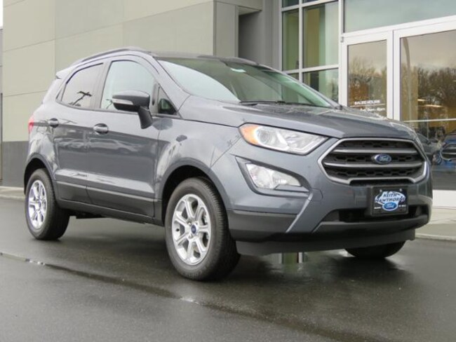 New 2019 Ford EcoSport SE SUV near Belmont