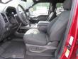 New 2019 Ford F-150 Truck SuperCrew Cab near Belmont