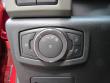 New 2019 Ford Expedition XLT SUV near Belmont