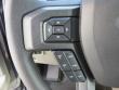 New 2019 Ford F-150 Truck SuperCrew Cab near Belmont